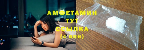 сатива Балахна