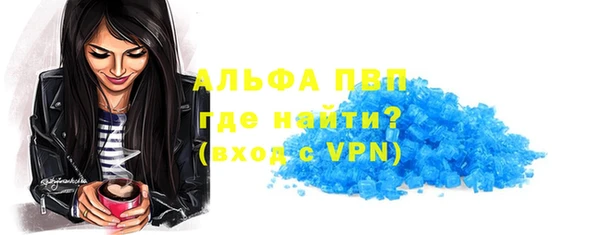 прущие грибы Беломорск