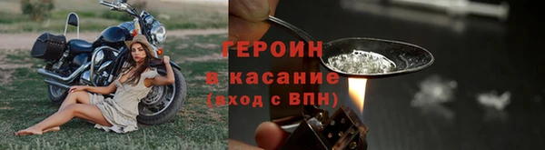прущие грибы Беломорск
