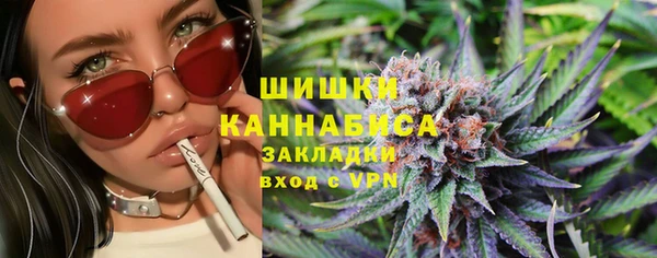 сатива Балахна