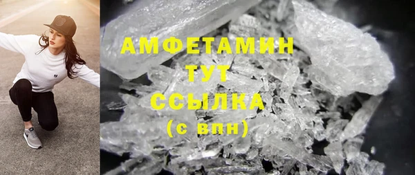 гидра Белокуриха