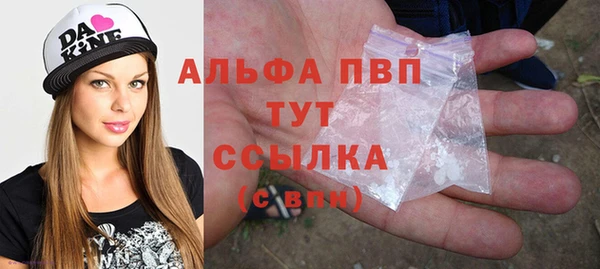 сатива Балахна